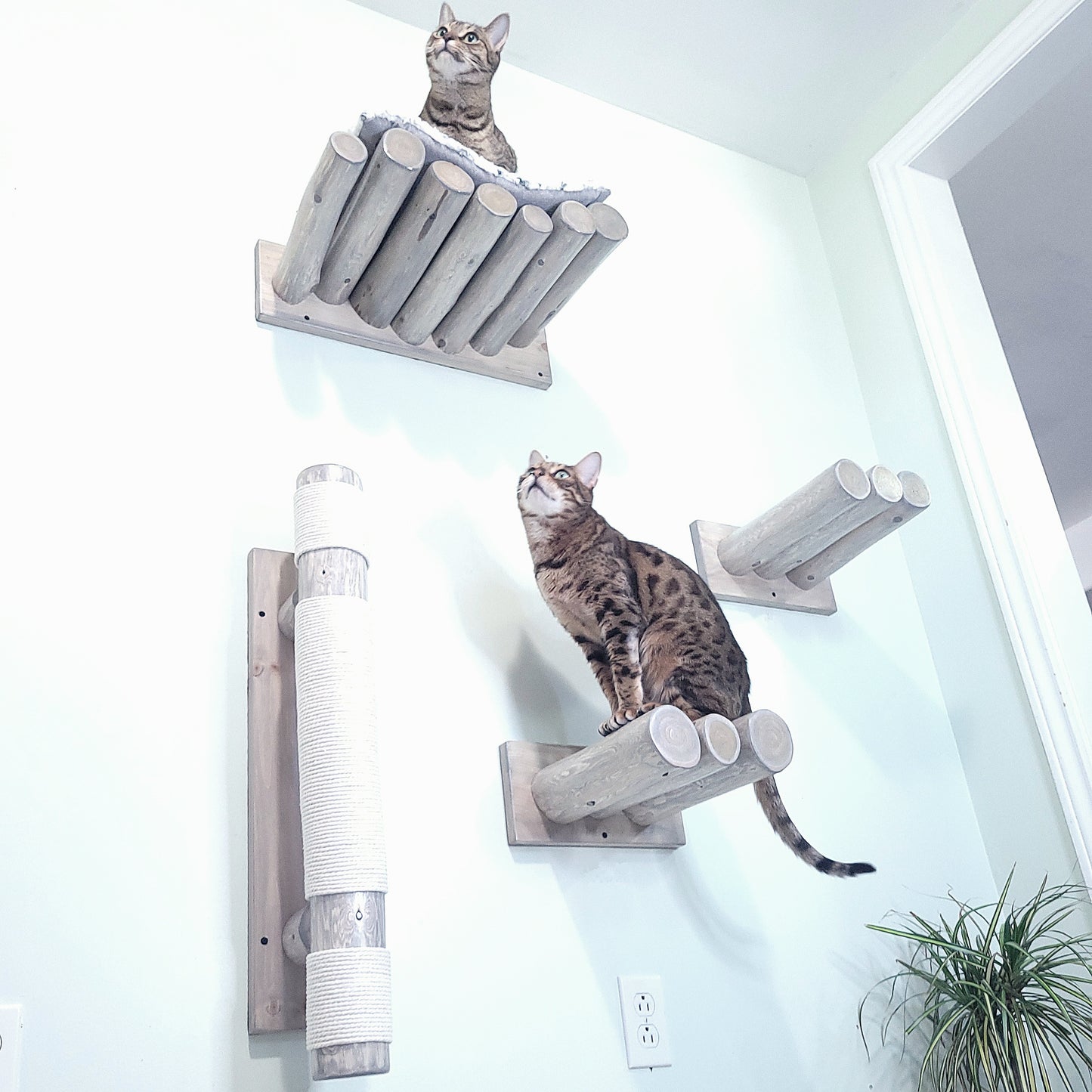 Cat Scratch Post in Grey - wall mounted