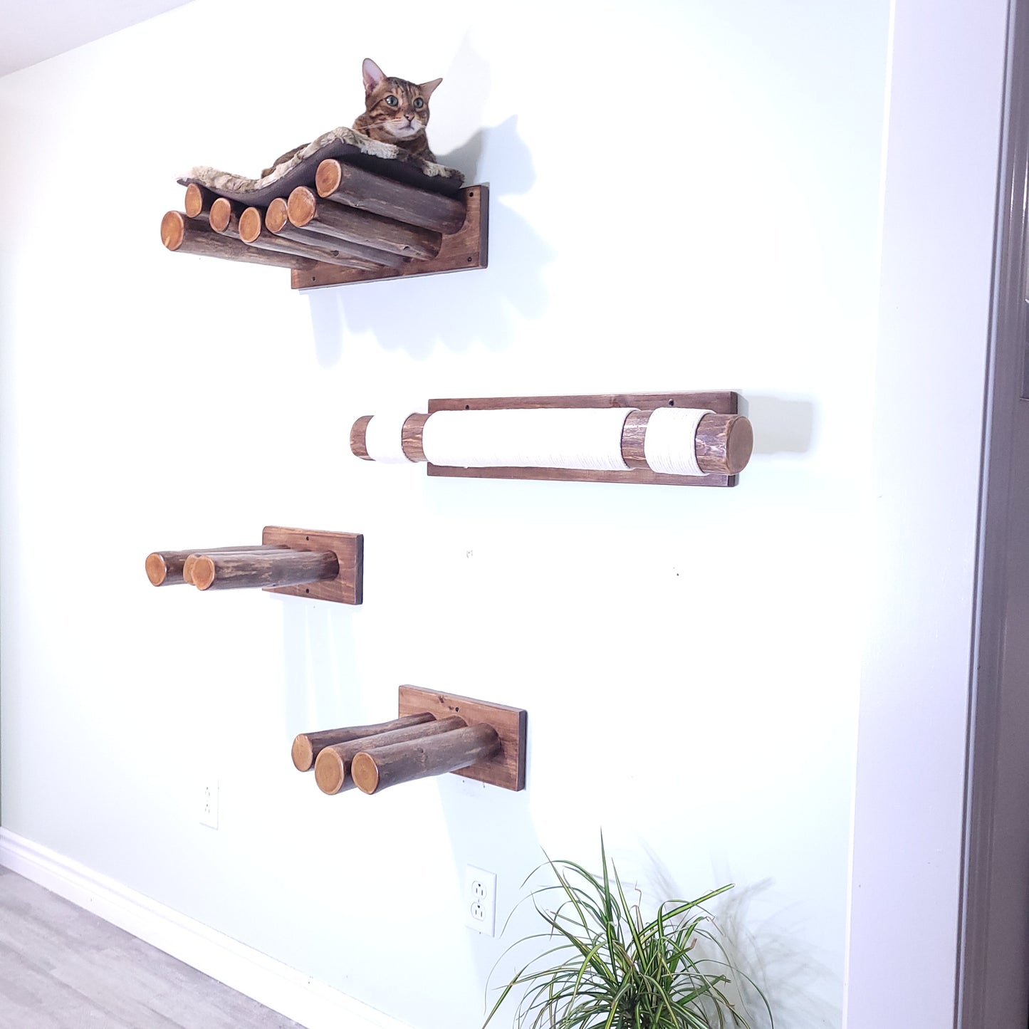 Cat Bed in Walnut - wall mounted