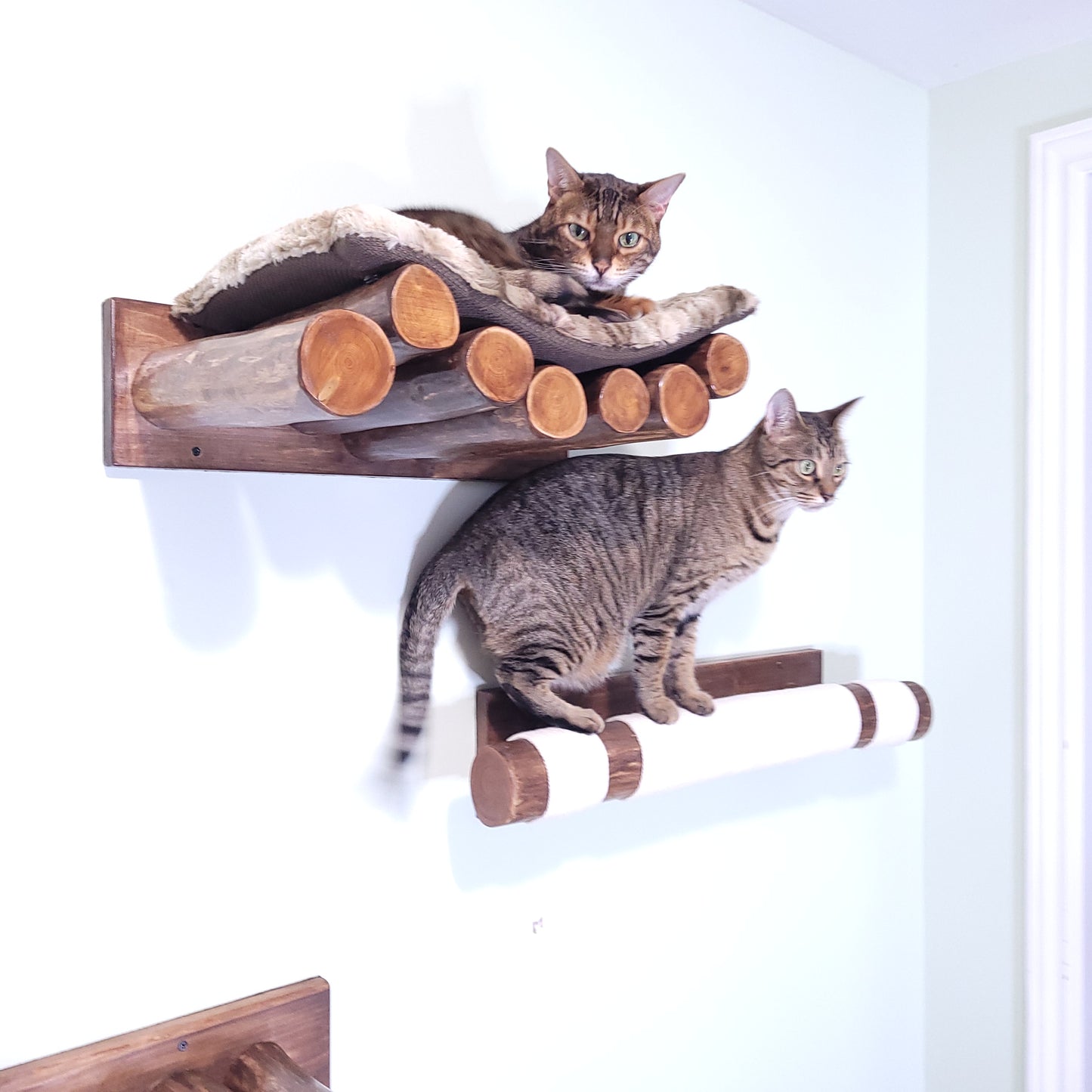 Cat Scratch Post in Walnut - wall mounted