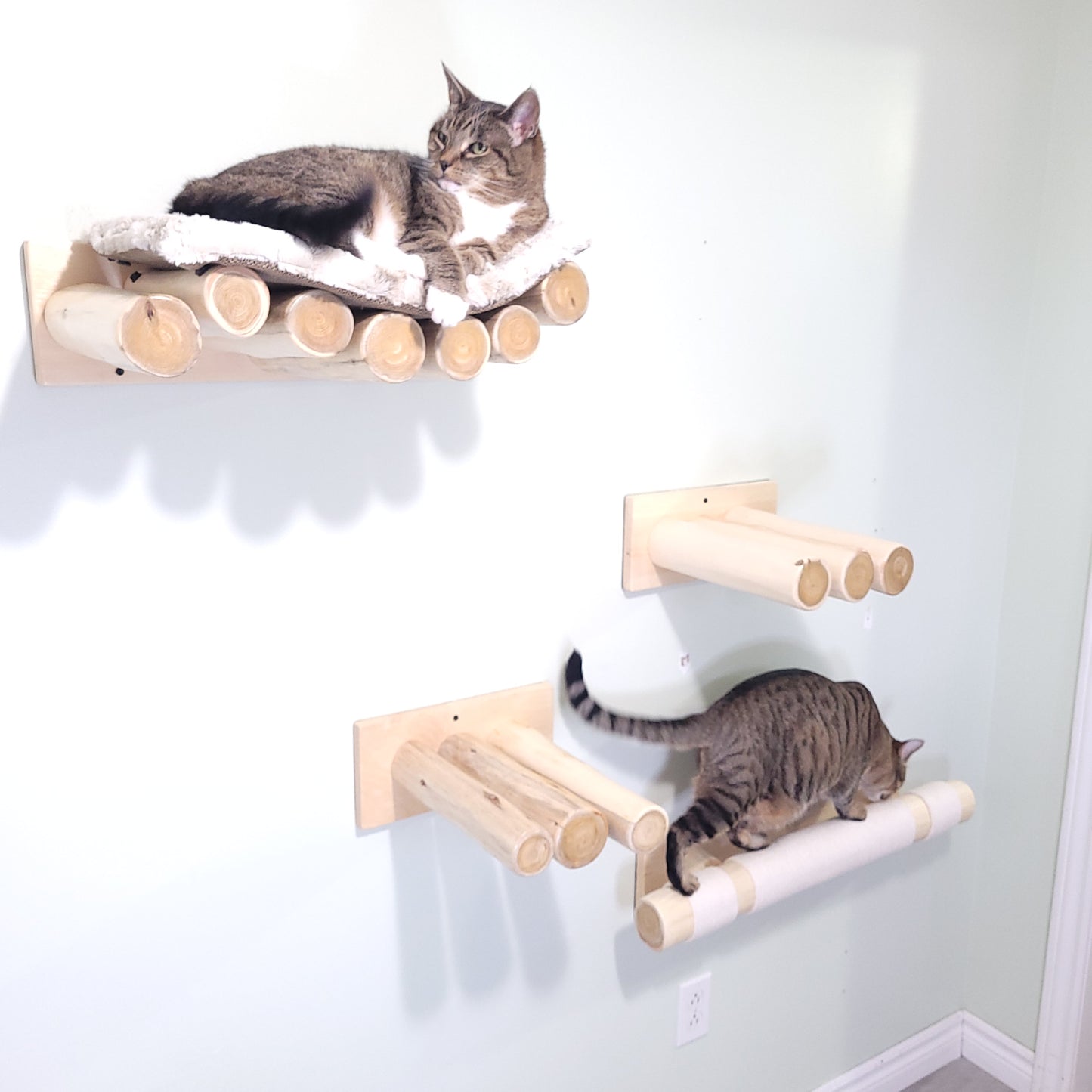 Cat Scratch Post Natural - wall mounted