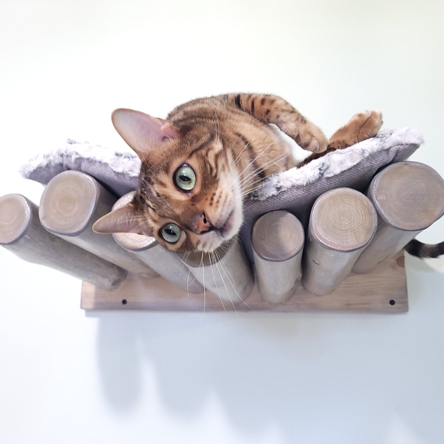 Cat Bed in Grey - wall mounted