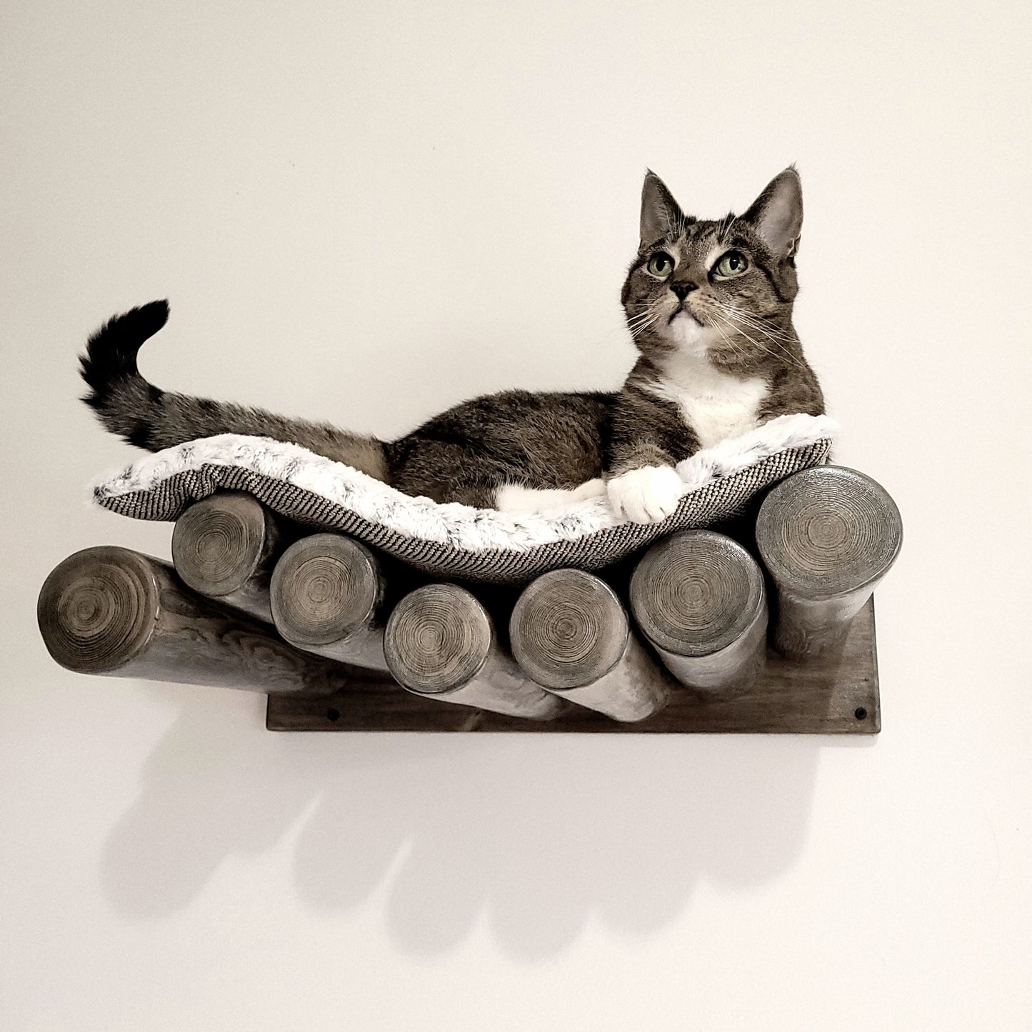 Cat Bed in Black - wall mounted