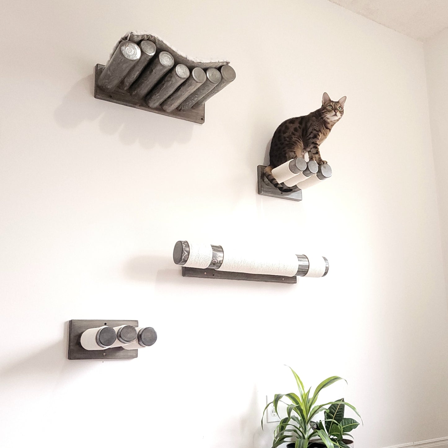 Cat Perch in Black - wall mounted